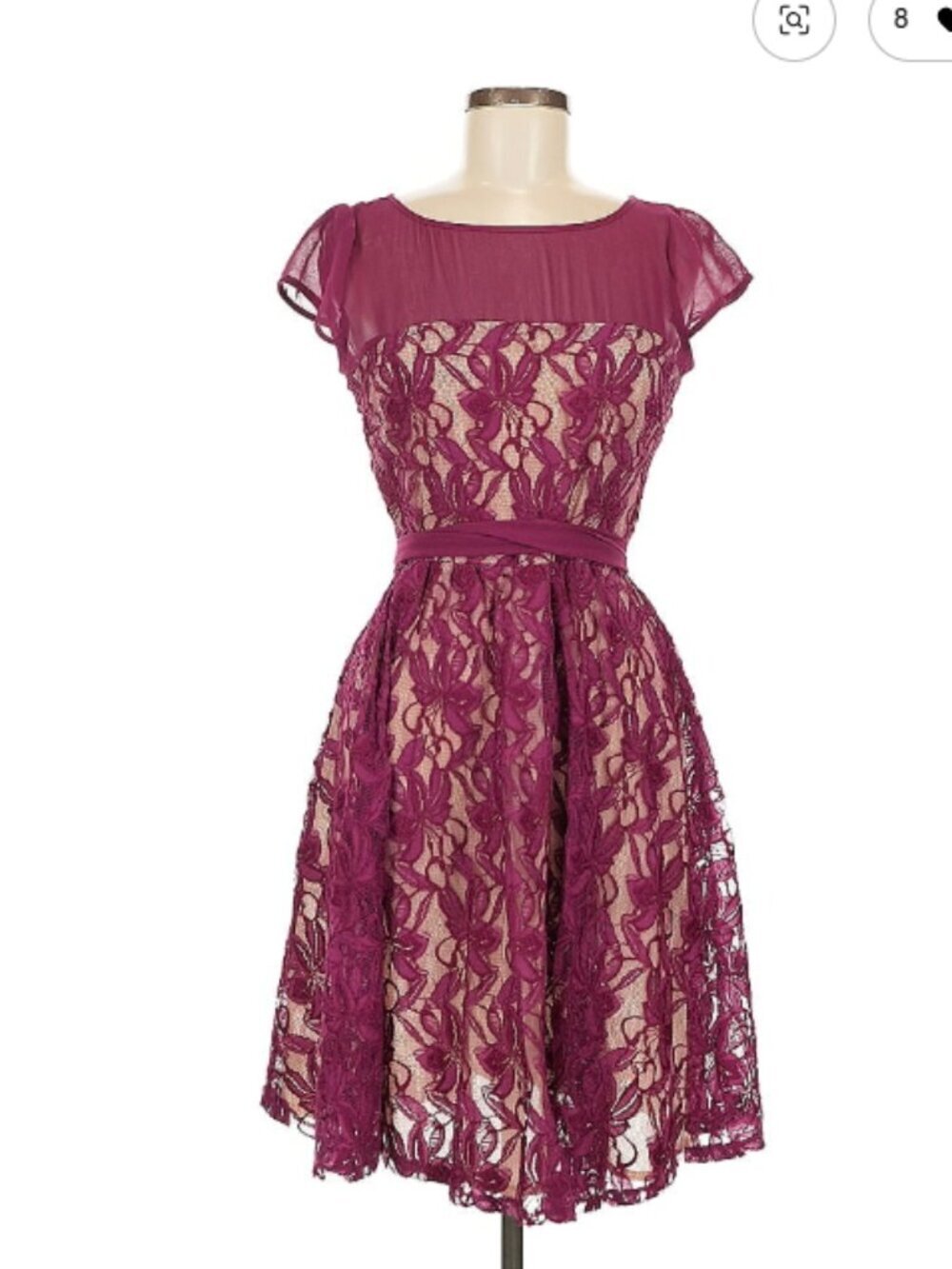 Metaphor Pink Lace Fit & Flare Dress Sheer Yoke Cap Sleeve Size 6